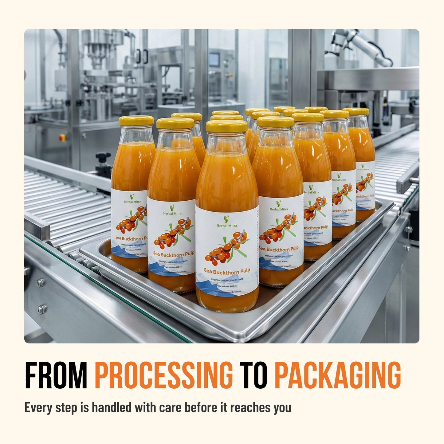 Sea Buckthorn Pulp